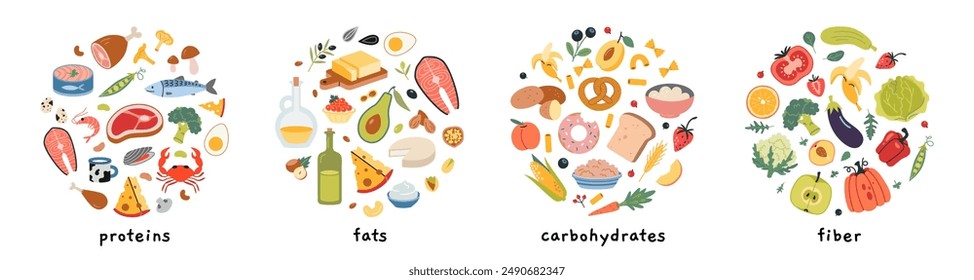 Infografía del producto de fuentes de carbohidratos, proteínas, grasas y fibras. Alimentos saludables preparados con carne, cereales, mariscos, verduras, frutas y bayas. Ilustración vectorial aislada en blanco, dibujada a mano, plana