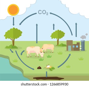 The carbon cycle chart, flat design