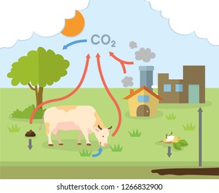 The carbon cycle diagram, flat design