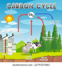 Carbon Cycle Diagram for Science Education illustration