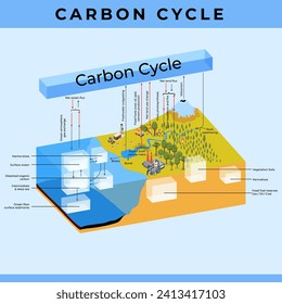 El ciclo del carbono es un proceso natural que hace circular el carbono a través de la atmósfera, los océanos, el suelo y los organismos vivos de la Tierra, y desempeña un papel decisivo en la regulación del clima del planeta.