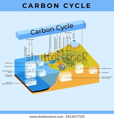 The carbon cycle is a natural process that circulates carbon through Earth's atmosphere, oceans, soil, and living organisms, playing a crucial role in regulating the planet's climate.