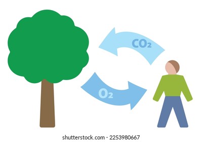 Carbon cycle symbol. Carbon dioxide oxygen exchange between human being and tree. Exhalation and absorption of CO2 Carbon dioxide - inhalation and release of O2 Oxygen. Vector illustration.
