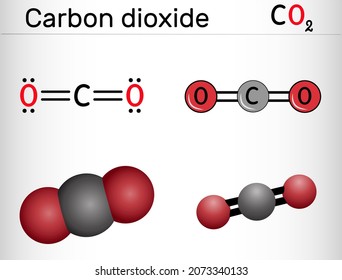 Carbon Dioxide, CO2 Molecule. It Is Carbonic Anhydride, One-carbon Compound In Which Carbon Is Attached To Each Oxygen Atom By Double Bond. Structural Chemical Formula, Molecule Model. Vector 