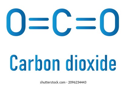 712 Carbon dioxide animals Images, Stock Photos & Vectors | Shutterstock