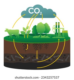 Diagrama cilíndrico del ciclo del dióxido de carbono - animales, plantas, suelo e industria energética. Ayuda visual aislada para artículos científicos