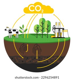 Carbon dioxide cycle diagram - animals, plants, soil and energy industry. Isolated visual aid for scientific articles