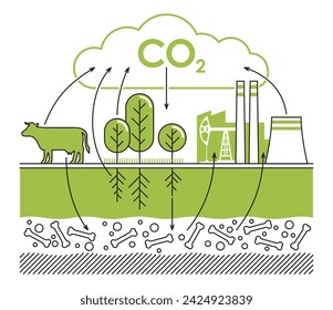 Carbon dioxide cycle diagram in thin line - animals, plants, soil and energy industry. Isolated visual aid for scientific articles