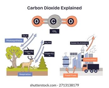 La descripción general del dióxido de carbono, la molécula de CO2, el ciclo de fotosíntesis-respiración y la combustión de combustibles fósiles ilustran las emisiones y el intercambio de oxígeno en el ciclo del carbono. Diagrama de estilo Doodle