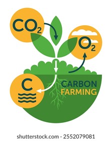 Carbon farming or sequestration - sustainable agricultural methods for store carbon in the soil, roots and leaves