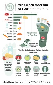 Carbon footprint of food infographic. Tips for reducing your personal carbon footprint from food.  Plant-based diet, environmental and ecology concept. True data. Flat vector illustration.