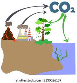 carbon offset. Vector. Carbon climate cycle. Scheme of emission and absorption of carbon and greenhouse gases by trees and dissolution in water. Photosynthesis and volcanic or factory emissions