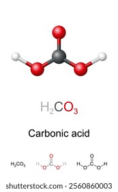 Carbonic acid, H2CO3, molecule model and chemical structure. Ball-and-stick model of a compound that converts rapidly to water and carbon dioxide in the presence of water. It is used in soft drinks.