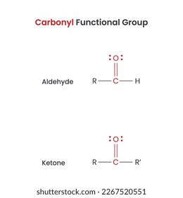 Carbonyl Biochemistry Functional Groups Aldehyde and Ketone vector science infographic