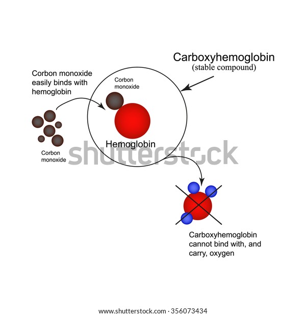 Carboxyhemoglobin Joining Hemoglobin Carbon Monoxide Inability Stock ...