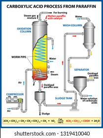 Carboxylic acid process from paraffin. Vector illustration 
