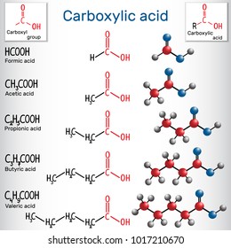 Carboxylic acids (formic, acetic, propionic, butyric, valeric). Homologous series of straight-chain, saturated carboxylic acids. Structural chemical formula and molecule model. Vector illustration