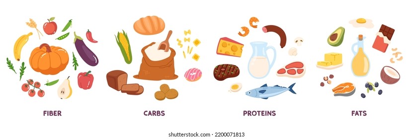 Carbs, proteins, fats, fiber food groups set. Fruits, vegetables, fish, cheese, oil, meat products healthy nutrition balance. Different food energy categories, natural diet flat vector illustration