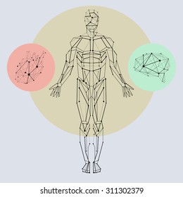 Carcass Black Lines Human and internal organs heart and Brains in circles on the light background