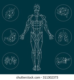 Carcass White Lines Human and internal organs in circles on the dark background