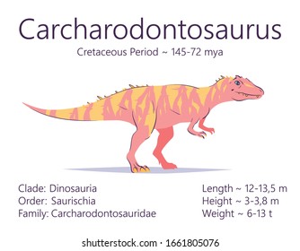 Carcharodontosaurus. Theropoda dinosaur. Colorful vector illustration of prehistoric creature carcharodontosaurus and description of characteristics and period of life on white background. Fossil dino