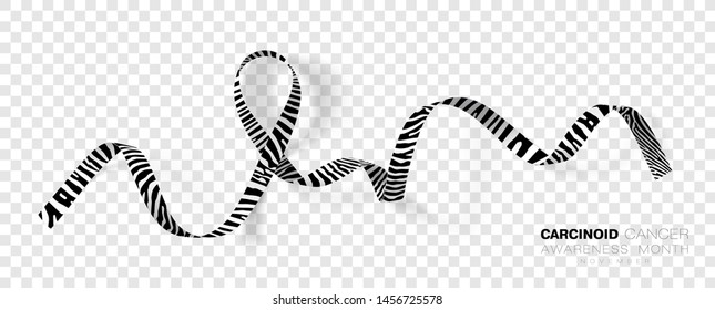 Carcinoid Cancer Awareness Month. Zebra Stripe Color Ribbon Isolated On Transparent Background. Vector Design Template For Poster. Illustration.