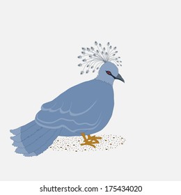 Card with abstract beautiful blue peacock in vector
