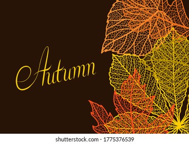 Card with autumn foliage. Background of falling leaves.