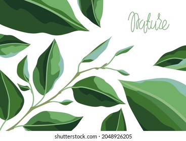 Card or background with branches and green leaves. Spring or summer stylized foliage.