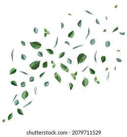 Tarjeta o fondo con hojas verdes. Follaje estilizado de primavera o verano.