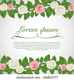Card background of pink and white roses, vector illustration