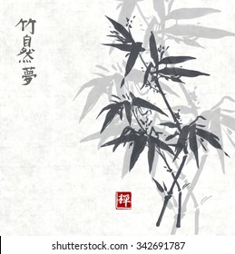 Card with bamboo on white background. Traditional Japanese ink painting sumi-e. Contains signs - bamboo, nature, dream, zen