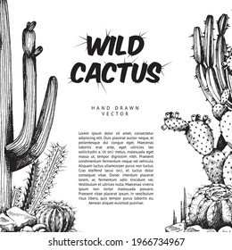 Card or banner design with hand drawn cactuses, ink engraved vector illustration on white background. Banner or poster with cactuses in etched style and place for text.