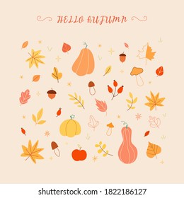 Card, banner or poster flat vector template on 'Hello Autumn'. Colorful leaves, pumpkins. Vector.