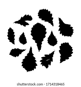 card banner poster Oak leaves collection. nature scandinavian style background ink grunge texture. Nursery decor trend of the season, black silhouette isolated on white. Vector