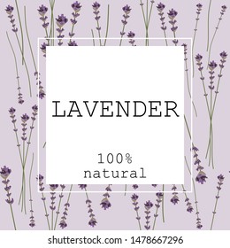 Card, banner, poster, sticker, promotional material with lavender and the text "Lavender 100% natural". Vector illustration.