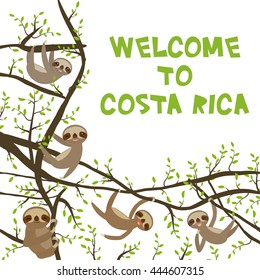 card banner template with funny and cute smiling Three-toed sloth set on green branch tree creeper, copy space isolated white background. Welcome to Costa Rica Vector illustration