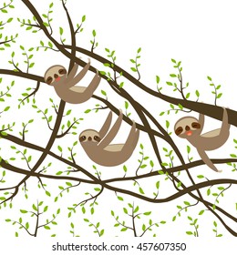 card banner template with funny and cute smiling Three-toed sloth set on green branch tree creeper, isolated white background. Vector illustration