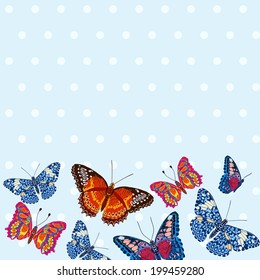 Card with beautiful bright butterflies