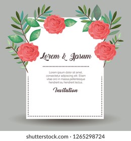 card with beautiful rosebush
