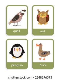 card with birds quall, owl, duck, penguin vector set