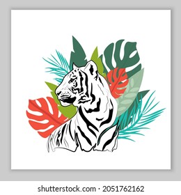 Card black and white tiger and palm leaves. Vector illustration. For packaging, prints, clothing, covers, brochures, cards and invitations.