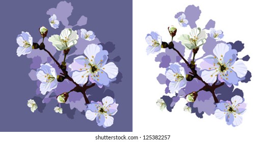 Card, the card with blossoming apple-tree branches. Vector color illustration.