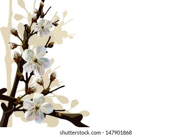 Card, the card with blossoming apple-tree branches. Vector color illustration.