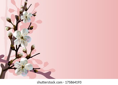 Card, the card with blossoming apple-tree branches. Vector color illustration.