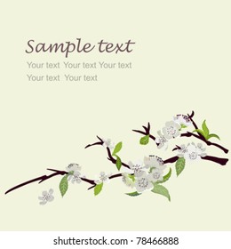 Card with a blossoming branch a white apple-tree in Japanese style