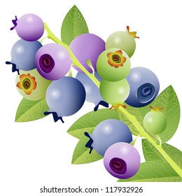 card with blueberries