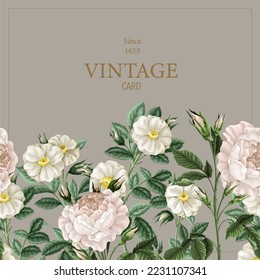 Card with botanical white roses in vintage style. Vector