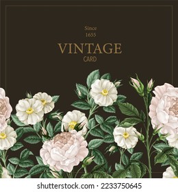 Card with botanical white roses in vintage style. Vector