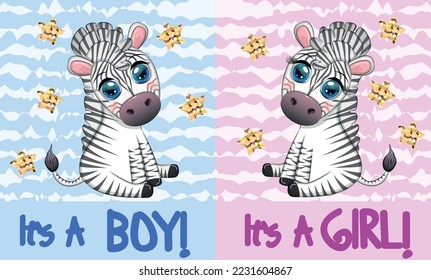 Card It's a boy, It's a girl with a cute cartoon zebra sitting. Children's holiday of the newborn, baby shower.